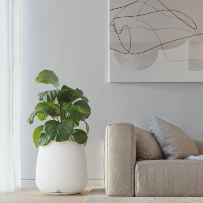 Maceta Mati N45 De 64 Litros con Plato